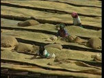 Replay Découverte du Monde - Café, l'or du Kenya