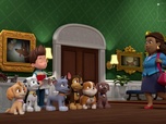 Replay Paw Patrol, la Pat'Patrouille - Le trésor perdu de la Grande Vallée