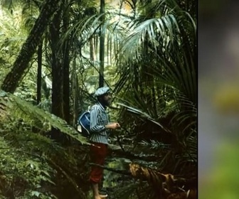 Replay Invitation au voyage - 15/03/2024 - La Nouvelle-Zélande fertile du peintre Hundertwasser