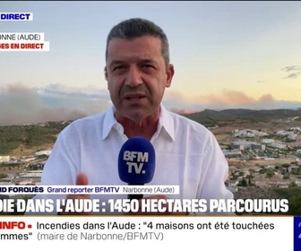 Replay 20H BFM - Incendie dans l'Aude: 1450 hectares brûlés, l'A9 et l'A61 coupées