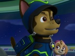 Replay Paw Patrol, la Pat'Patrouille - Un cargo en danger