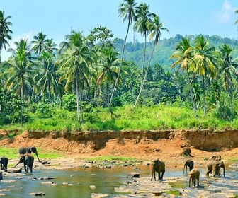 Replay Yala, un éden au Sri Lanka - Merveilles de la nature