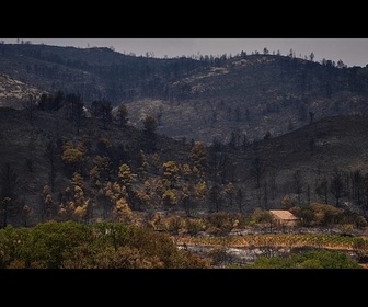 Replay Incendies en cours dans le sud de la France : des conditions très défavorables