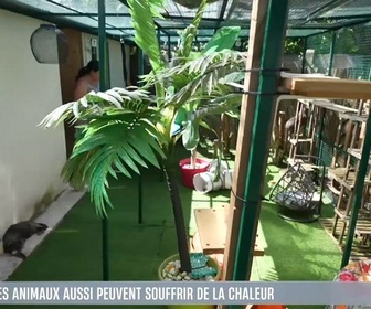 Replay Le 1945 du 12/08/25