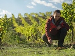 Replay Réinventer les vignobles - Les promesses de la terre