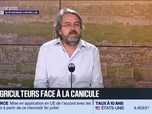 Replay La grande interview d'Hedwige Chevrillon - Nicolas Chabanne (C'est qui le Patron) : les agriculteurs face à la canicule - 01/07