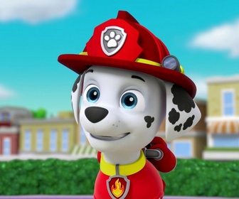 Replay Paw Patrol, la Pat'Patrouille - Des bébêtes en vadrouille