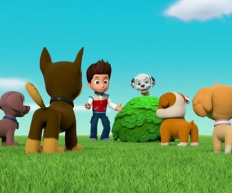 Replay Paw Patrol, la Pat'Patrouille - La récolte de maïs