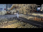 Replay Pays-Bas : les créatures de plage alimentées par le vent exposées à Delft