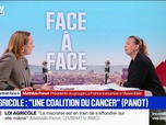 Replay Face à Face - Loi d'ugence agricole: Ça suffit l'empoisonnement du monde généralisé, tonne Mathilde Panot, présidente du groupe LFI à l'Assemblée