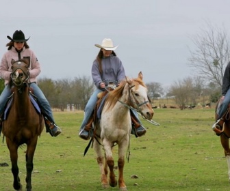 Replay Habitations en péril - S5E18 - Toutes mes angoisses sont au Texas - Partie 2