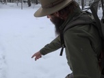 Replay Seuls face à l'Alaska - S9E3 - Un froid glacial