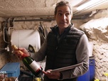 Replay Grands Reportages - Reportages découverte - Du faux dans nos assiettes