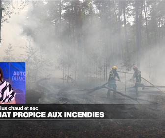 Replay Élément Terre, la quotidienne - Un climat de plus en plus propice aux feux de forêt