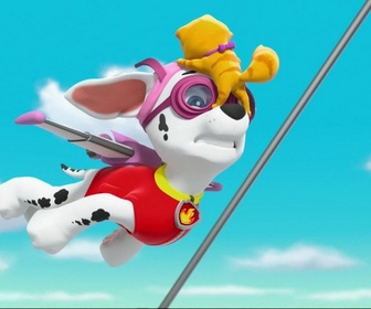 Replay Paw Patrol, la Pat'Patrouille - Marcus, seul dans la tour de contrôle