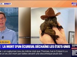 Replay L'image du jour - Peanut, écureuil star d'Instagram, euthanasié en raison d'un risque de propagation de la rage