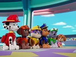 Replay Paw Patrol, la Pat'Patrouille - La publicité de François
