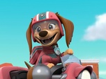 Replay Paw Patrol, la Pat'Patrouille - Un ours dans la ville