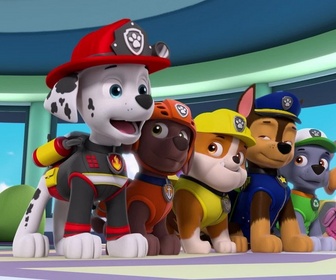 Replay Paw Patrol, la Pat'Patrouille - Les drones de M. Hellinger