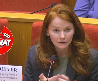 Replay 100% Sénat - Manipulations numériques en période électorale : quels sont les risques ?