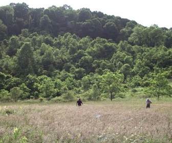 Replay Manhunt - S2 E2 - La chute