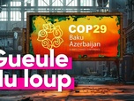 Replay Top Info - Que reproche-t-on à l'Azerbaïdjan qui accueillera la COP 29 lundi ?