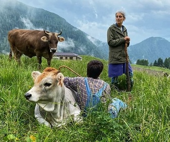 Replay Le Trentin - Paradis naturel de l'Italie du Nord