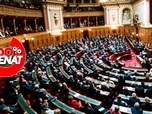 Replay 100% Sénat - Budget : le Sénat relève la taxe sur les petits colis