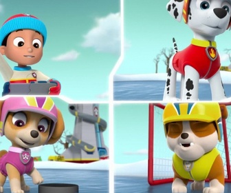 Replay Paw Patrol, la Pat'Patrouille - Danny et l'ours