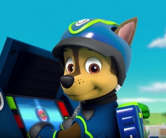 Replay Paw Patrol, la Pat'Patrouille - Alex a perdu sa dent