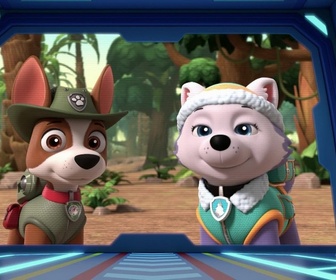 Replay Paw Patrol, la Pat'Patrouille - Un éléphanteau joueur