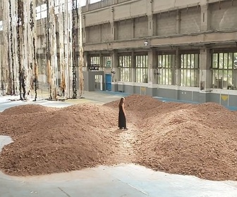 Replay ARTE Journal - Biennale d'art contemporain à Lyon : artistes et écologie