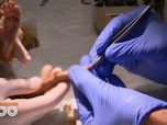 Replay Une saison au zoo - S14 E37