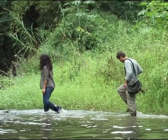 Replay Foudre - La forêt sans avenir