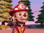 Replay S00 E70 - Compilation Paw Patrol, la Pat'Patrouille 70
