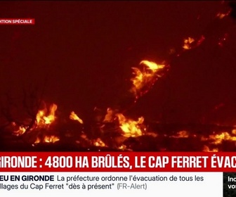 Replay BFM Première - Incendie en Gironde: au moins 4.800 hectares brûlés, des villages de la presqu'île du Cap-Ferret évacués
