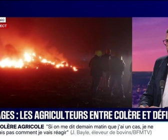 Replay 20H BFM - Dermatose bovine: Je pense sincèrement qu'un protocole allégé sera synonyme de lutte allégée, assure Olivier Debaere, directeur de crise au ministère de l'Agriculture