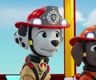Replay Paw Patrol, la Pat'Patrouille - Mission Pompiers : Un reportage exclusif