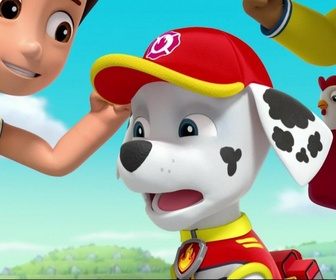 Replay Paw Patrol, la Pat'Patrouille - Le match de basketball