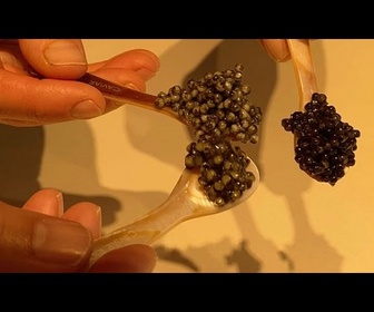 Replay De l'Europe avec goût : Le premier caviar écologique au monde régale de nouveaux marchés