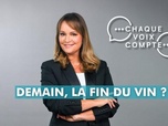 Replay Chaque voix compte - Demain, la fin du vin ?