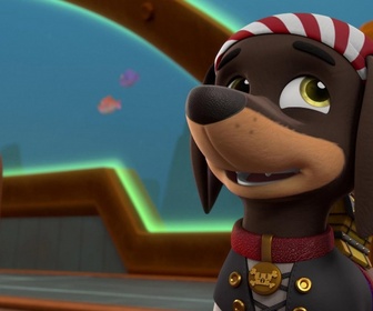 Replay Paw Patrol, la Pat'Patrouille - Le trésor d'Oncle Otis