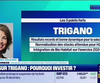 Replay Tout pour investir - Le match des valeurs : Zoom sur Trigano et Pluxee, pourquoi investir ? - 28/11