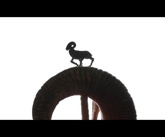 Replay Comment une tradition kazakhe de marionnettes captive les nouvelles générations