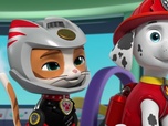 Replay Paw Patrol, la Pat'Patrouille - La Pat' Patrouille rencontre les Super Chats