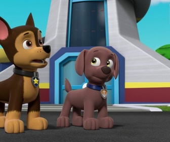 Replay Paw Patrol, la Pat'Patrouille - Travis l'apprenti fermier