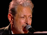 Replay 20h30 le dimanche - le dimanche - Invités : Jeff Goldblum, Vassili Schneider, Virginie Grimaldi