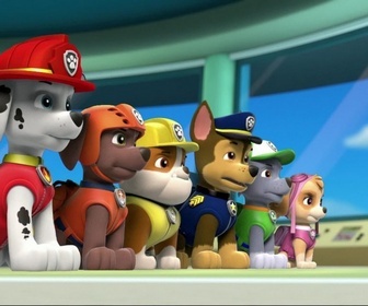 Replay Paw Patrol, la Pat'Patrouille - Le robot de Ryder