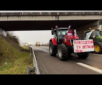 Replay Des milliers d'agriculteurs manifestent contre l'accord commercial UE-Mercosur avant le vote