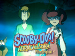 Replay Scooby Doo, Abracadabra-Doo